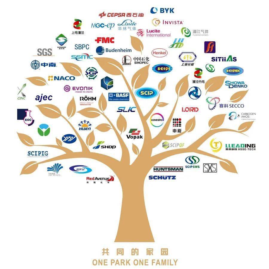 对标世界一流化工园区,上海化工区加快打造世界级绿色化工产业集群